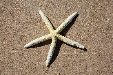 SE公布《三角战术》新预告 介绍游戏角色和故事